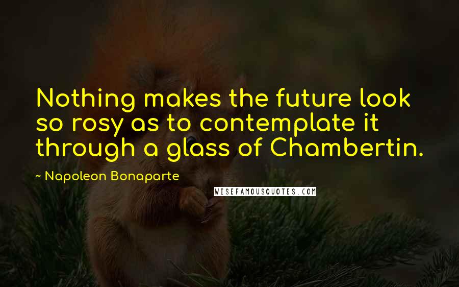 Napoleon Bonaparte Quotes: Nothing makes the future look so rosy as to contemplate it through a glass of Chambertin.