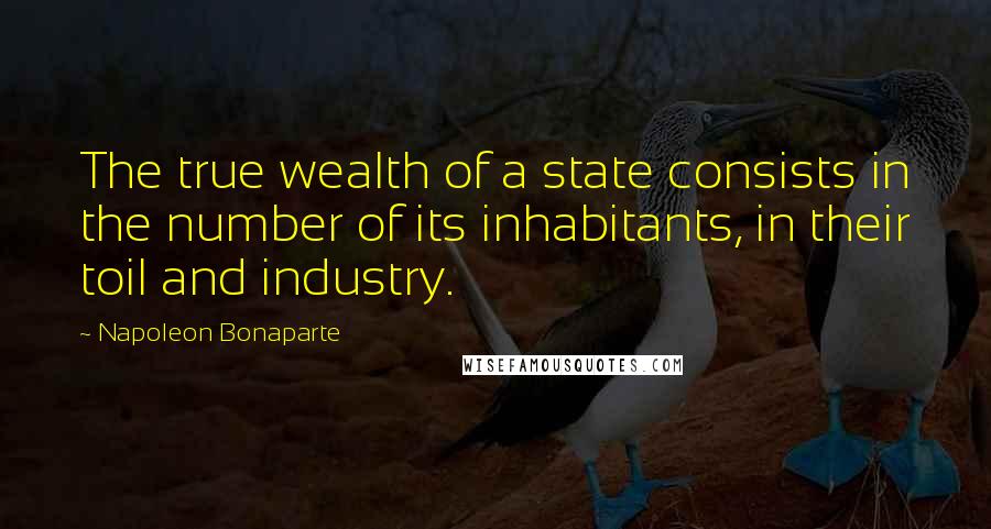 Napoleon Bonaparte Quotes: The true wealth of a state consists in the number of its inhabitants, in their toil and industry.