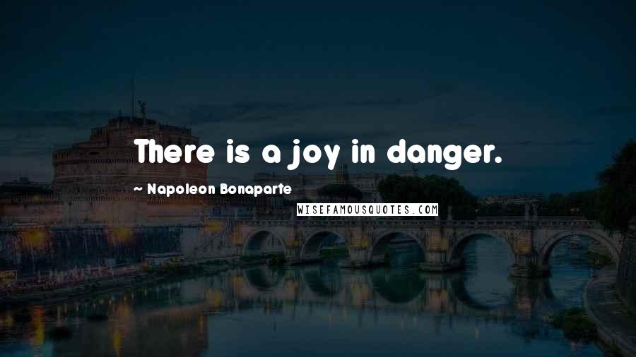 Napoleon Bonaparte Quotes: There is a joy in danger.