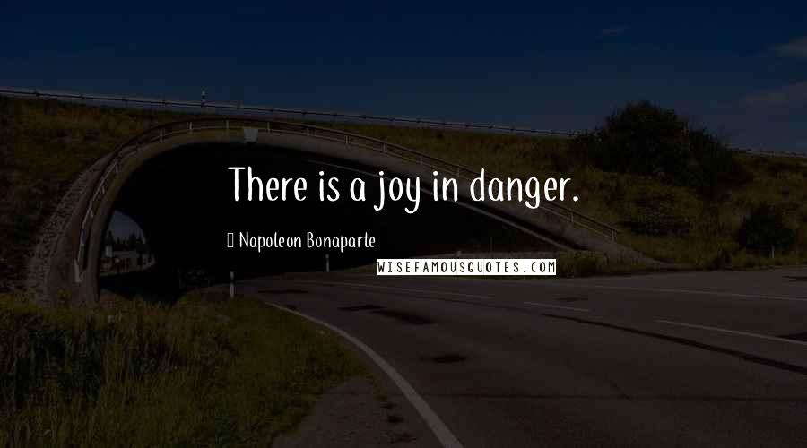 Napoleon Bonaparte Quotes: There is a joy in danger.