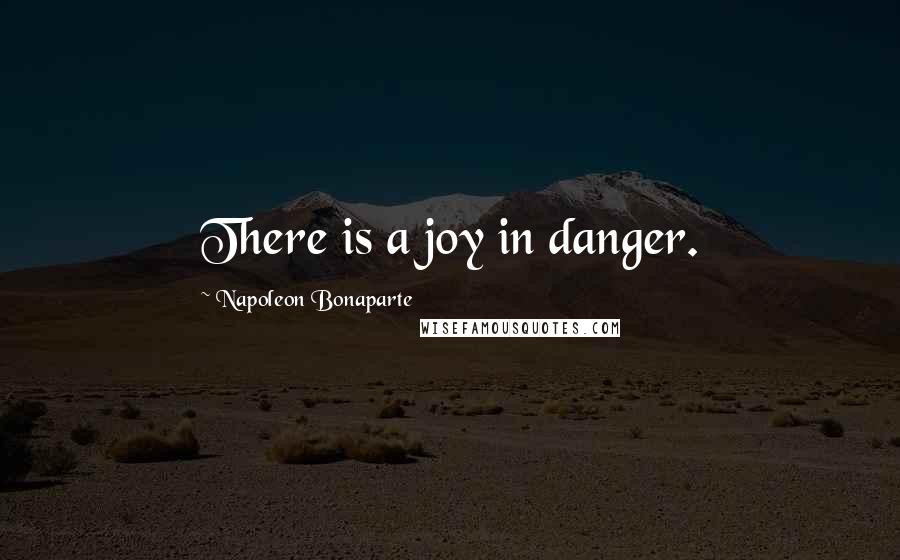 Napoleon Bonaparte Quotes: There is a joy in danger.