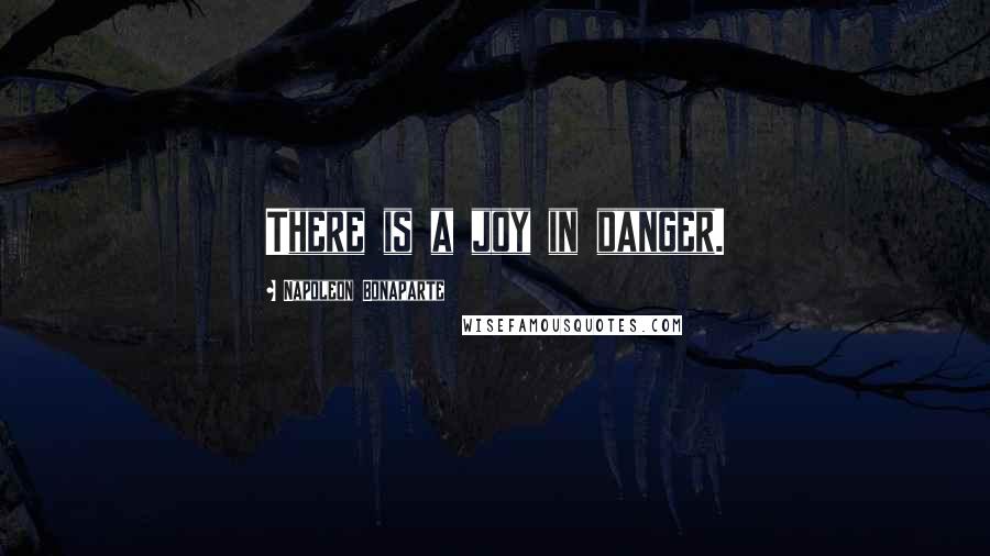 Napoleon Bonaparte Quotes: There is a joy in danger.