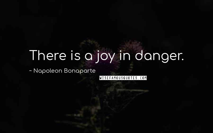 Napoleon Bonaparte Quotes: There is a joy in danger.