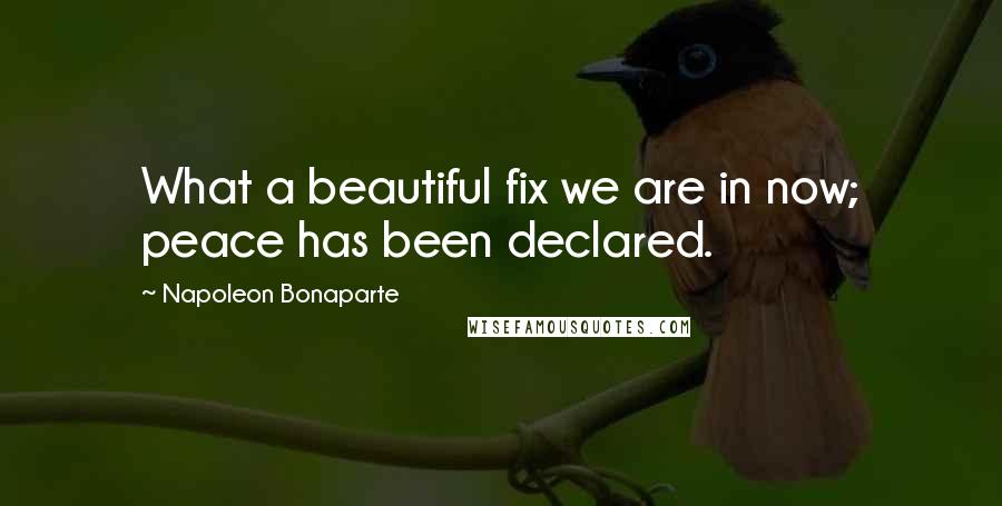 Napoleon Bonaparte Quotes: What a beautiful fix we are in now; peace has been declared.