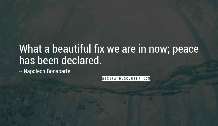 Napoleon Bonaparte Quotes: What a beautiful fix we are in now; peace has been declared.