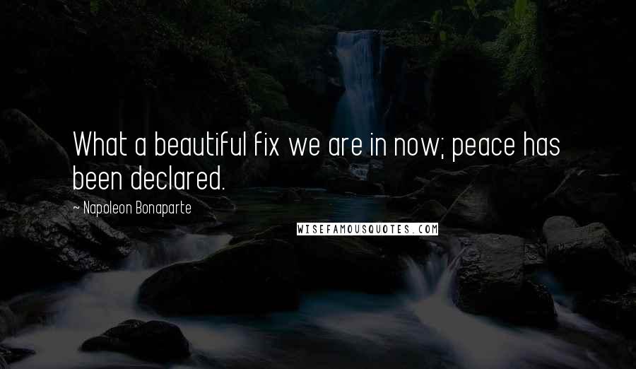 Napoleon Bonaparte Quotes: What a beautiful fix we are in now; peace has been declared.