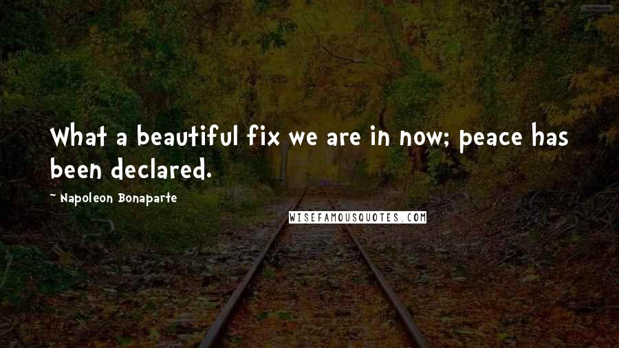 Napoleon Bonaparte Quotes: What a beautiful fix we are in now; peace has been declared.