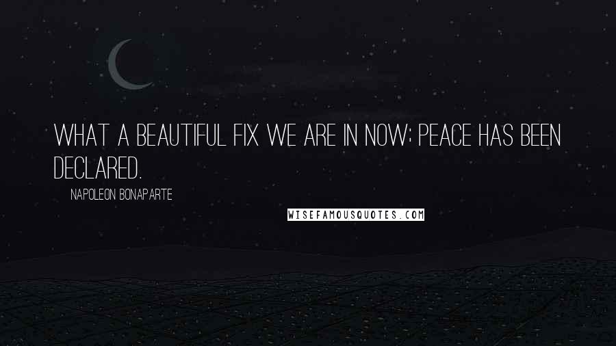 Napoleon Bonaparte Quotes: What a beautiful fix we are in now; peace has been declared.