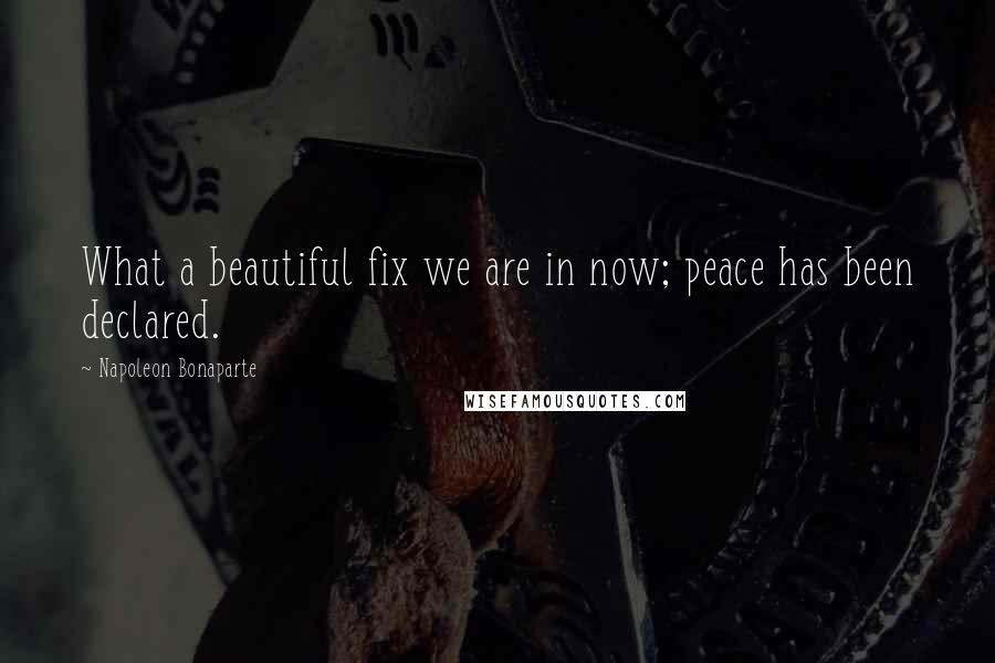 Napoleon Bonaparte Quotes: What a beautiful fix we are in now; peace has been declared.