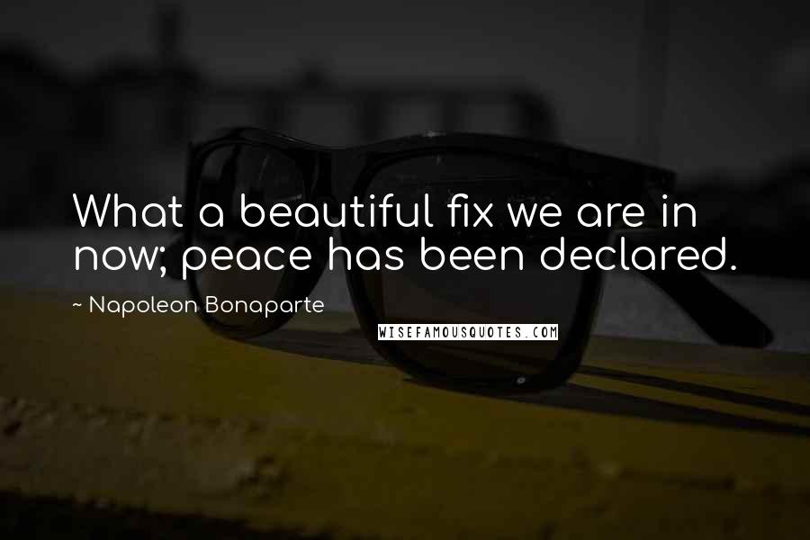 Napoleon Bonaparte Quotes: What a beautiful fix we are in now; peace has been declared.