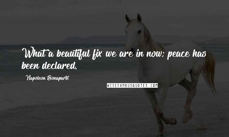 Napoleon Bonaparte Quotes: What a beautiful fix we are in now; peace has been declared.