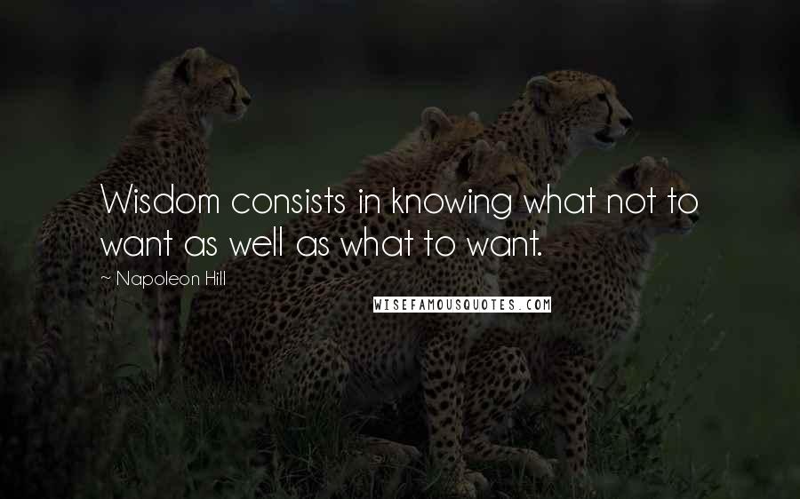 Napoleon Hill Quotes: Wisdom consists in knowing what not to want as well as what to want.