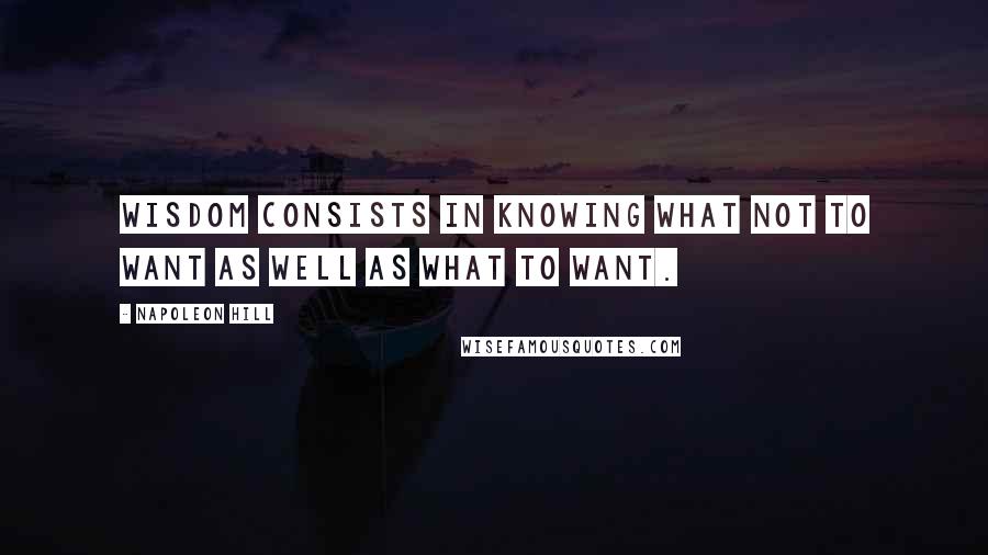 Napoleon Hill Quotes: Wisdom consists in knowing what not to want as well as what to want.