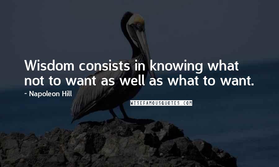 Napoleon Hill Quotes: Wisdom consists in knowing what not to want as well as what to want.