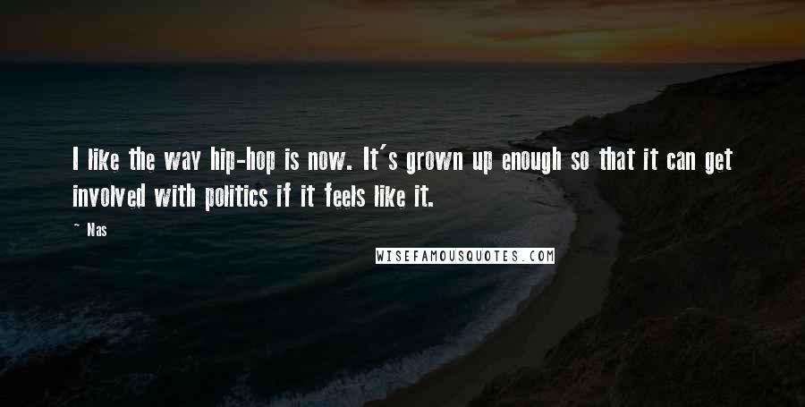 Nas Quotes: I like the way hip-hop is now. It's grown up enough so that it can get involved with politics if it feels like it.