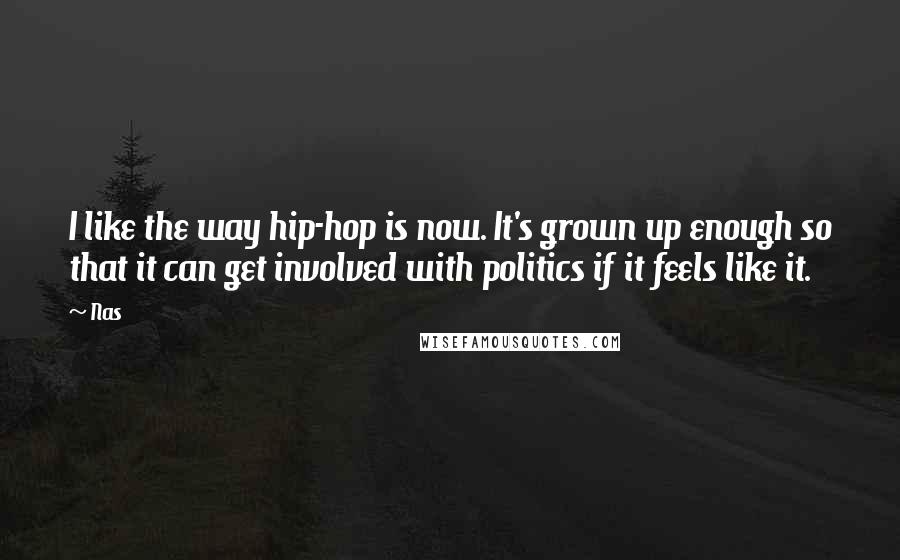 Nas Quotes: I like the way hip-hop is now. It's grown up enough so that it can get involved with politics if it feels like it.