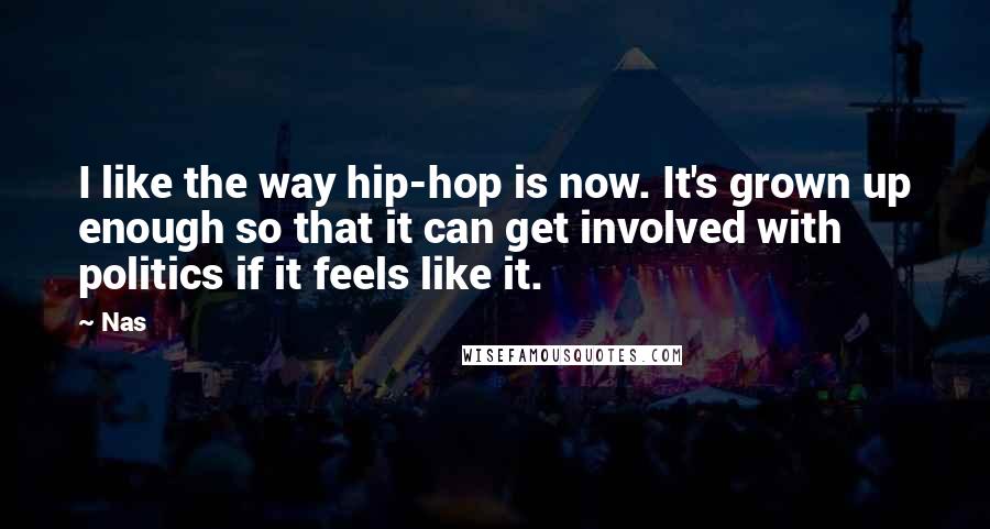 Nas Quotes: I like the way hip-hop is now. It's grown up enough so that it can get involved with politics if it feels like it.
