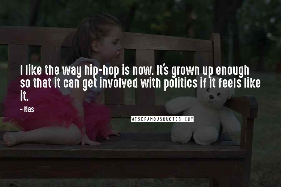 Nas Quotes: I like the way hip-hop is now. It's grown up enough so that it can get involved with politics if it feels like it.