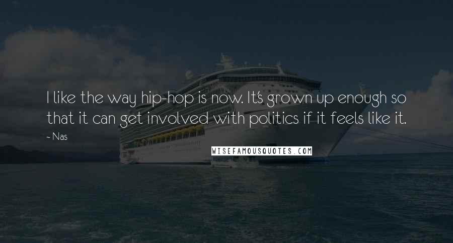 Nas Quotes: I like the way hip-hop is now. It's grown up enough so that it can get involved with politics if it feels like it.