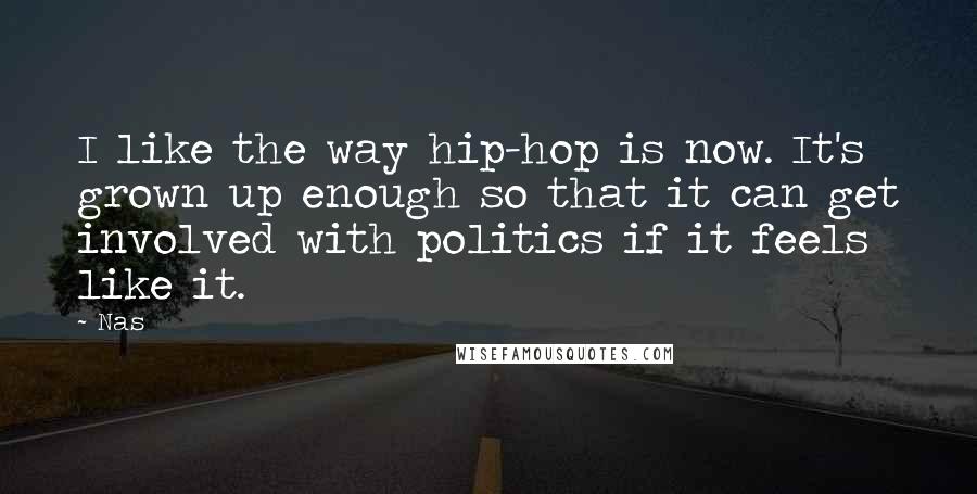 Nas Quotes: I like the way hip-hop is now. It's grown up enough so that it can get involved with politics if it feels like it.