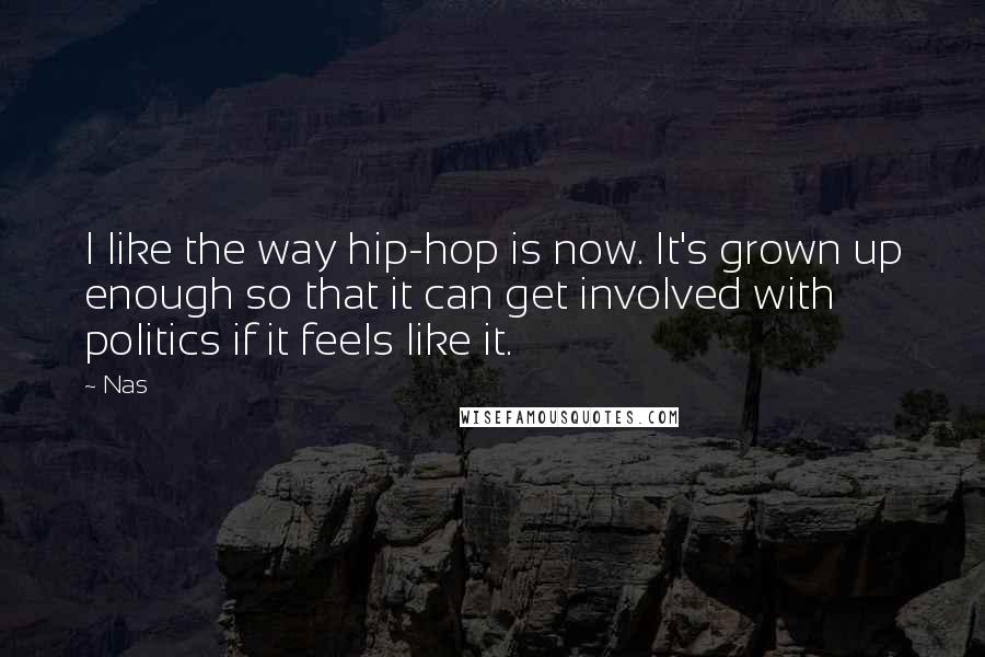 Nas Quotes: I like the way hip-hop is now. It's grown up enough so that it can get involved with politics if it feels like it.