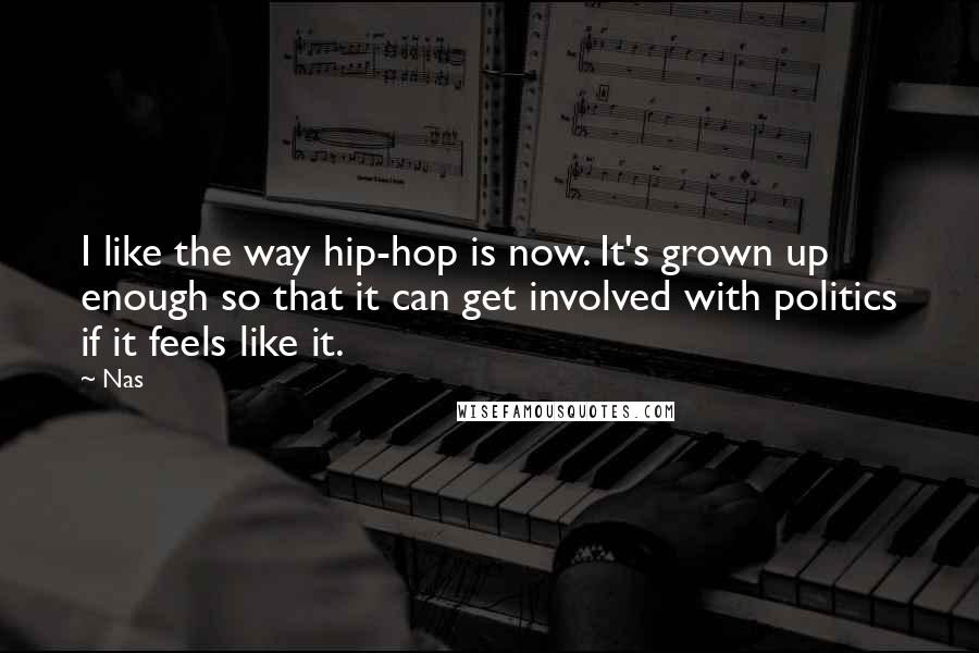 Nas Quotes: I like the way hip-hop is now. It's grown up enough so that it can get involved with politics if it feels like it.