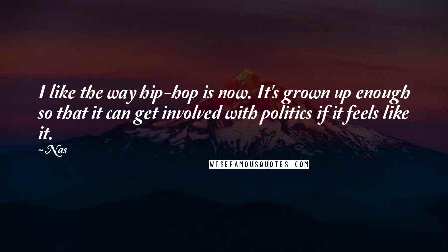 Nas Quotes: I like the way hip-hop is now. It's grown up enough so that it can get involved with politics if it feels like it.