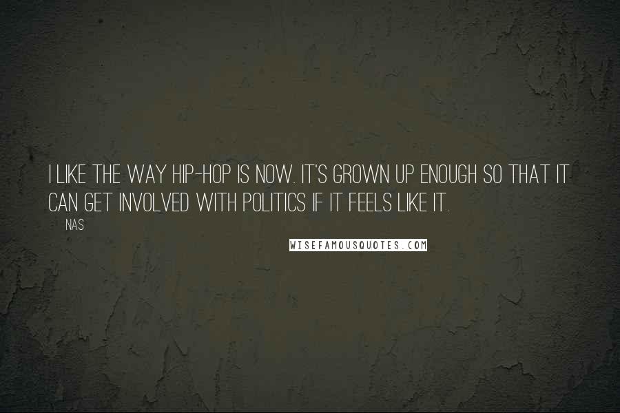 Nas Quotes: I like the way hip-hop is now. It's grown up enough so that it can get involved with politics if it feels like it.