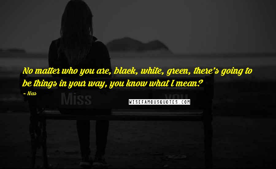 Nas Quotes: No matter who you are, black, white, green, there's going to be things in your way, you know what I mean?