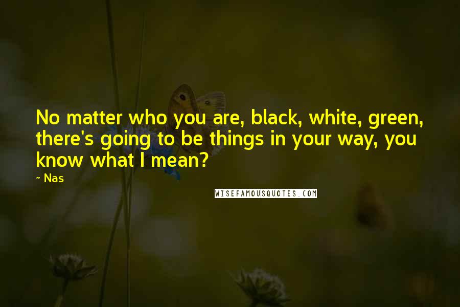 Nas Quotes: No matter who you are, black, white, green, there's going to be things in your way, you know what I mean?