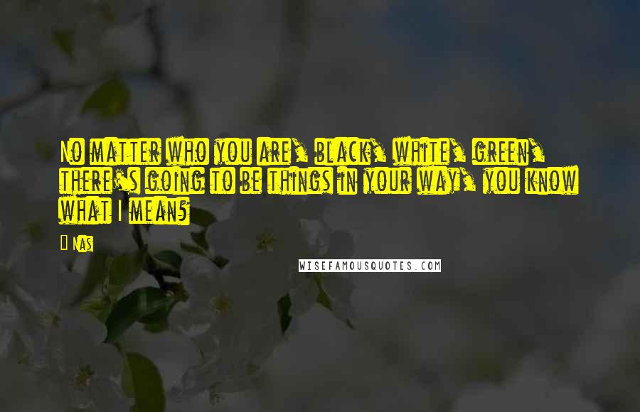 Nas Quotes: No matter who you are, black, white, green, there's going to be things in your way, you know what I mean?