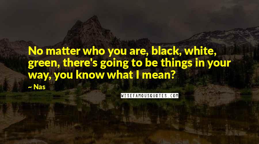 Nas Quotes: No matter who you are, black, white, green, there's going to be things in your way, you know what I mean?