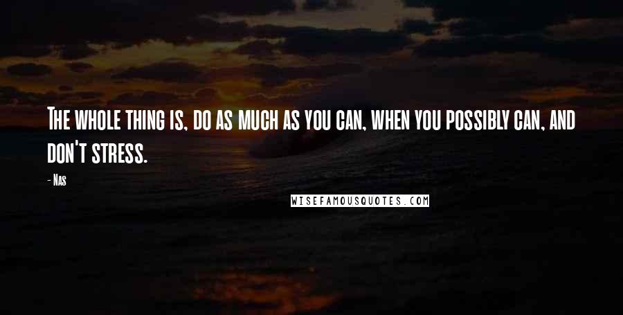 Nas Quotes: The whole thing is, do as much as you can, when you possibly can, and don't stress.