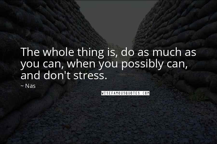 Nas Quotes: The whole thing is, do as much as you can, when you possibly can, and don't stress.