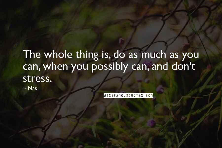 Nas Quotes: The whole thing is, do as much as you can, when you possibly can, and don't stress.