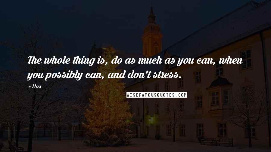 Nas Quotes: The whole thing is, do as much as you can, when you possibly can, and don't stress.