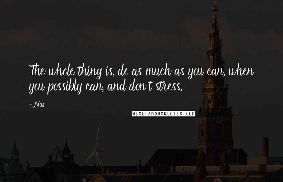 Nas Quotes: The whole thing is, do as much as you can, when you possibly can, and don't stress.