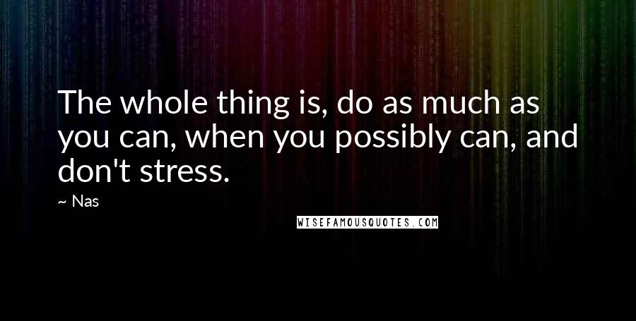 Nas Quotes: The whole thing is, do as much as you can, when you possibly can, and don't stress.