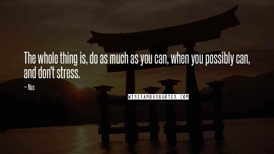 Nas Quotes: The whole thing is, do as much as you can, when you possibly can, and don't stress.