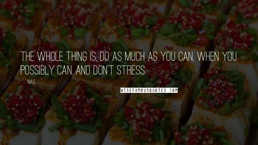 Nas Quotes: The whole thing is, do as much as you can, when you possibly can, and don't stress.