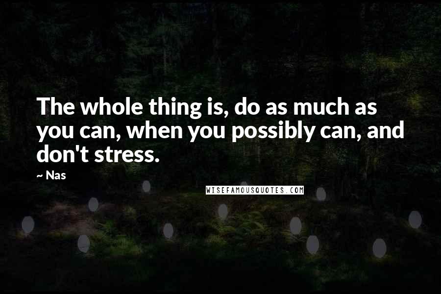 Nas Quotes: The whole thing is, do as much as you can, when you possibly can, and don't stress.