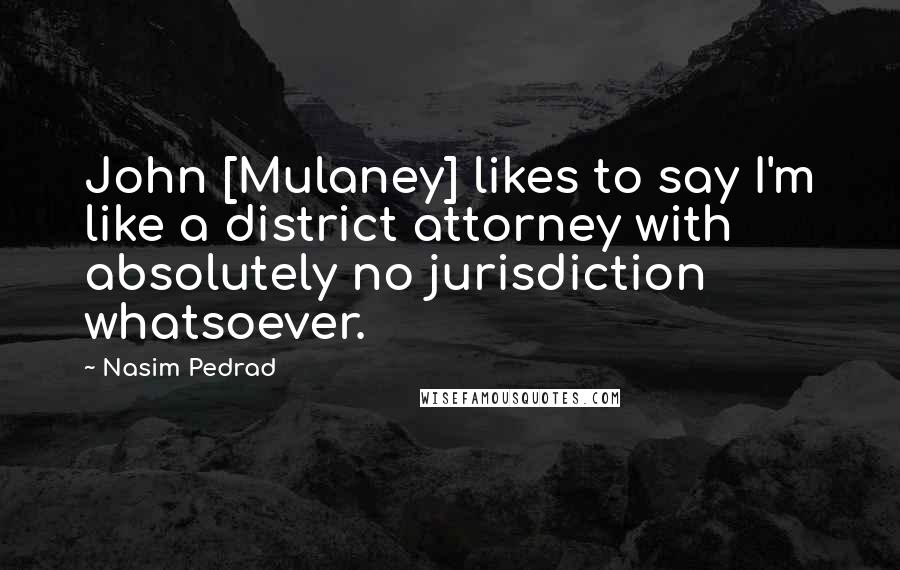 Nasim Pedrad Quotes: John [Mulaney] likes to say I'm like a district attorney with absolutely no jurisdiction whatsoever.