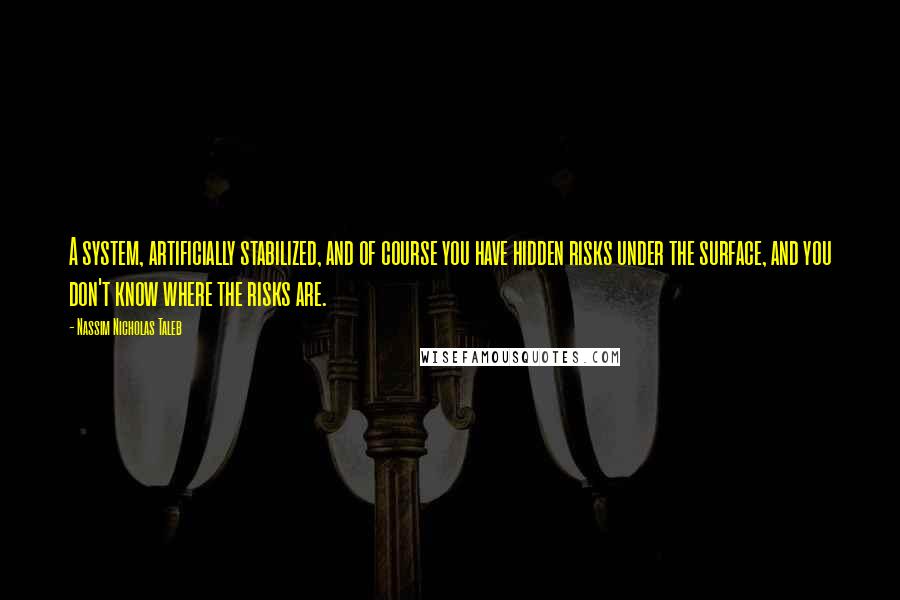 Nassim Nicholas Taleb Quotes: A system, artificially stabilized, and of course you have hidden risks under the surface, and you don't know where the risks are.