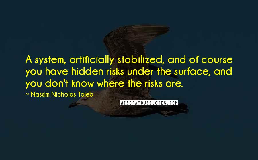 Nassim Nicholas Taleb Quotes: A system, artificially stabilized, and of course you have hidden risks under the surface, and you don't know where the risks are.