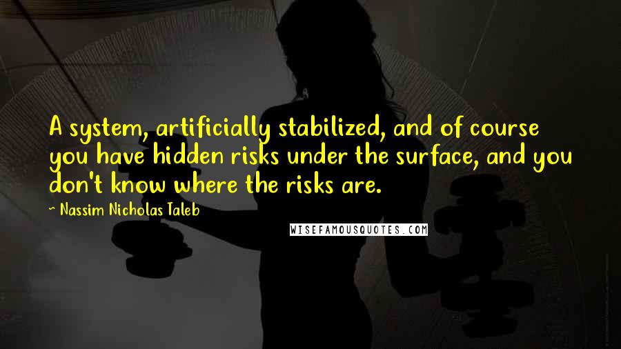 Nassim Nicholas Taleb Quotes: A system, artificially stabilized, and of course you have hidden risks under the surface, and you don't know where the risks are.