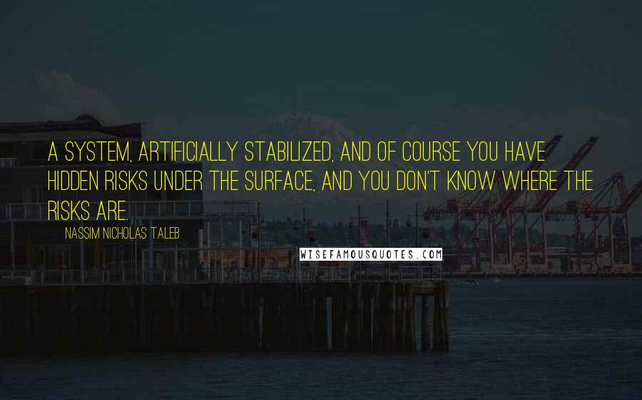 Nassim Nicholas Taleb Quotes: A system, artificially stabilized, and of course you have hidden risks under the surface, and you don't know where the risks are.