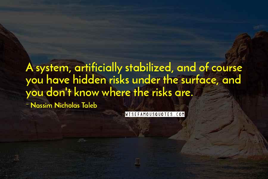 Nassim Nicholas Taleb Quotes: A system, artificially stabilized, and of course you have hidden risks under the surface, and you don't know where the risks are.