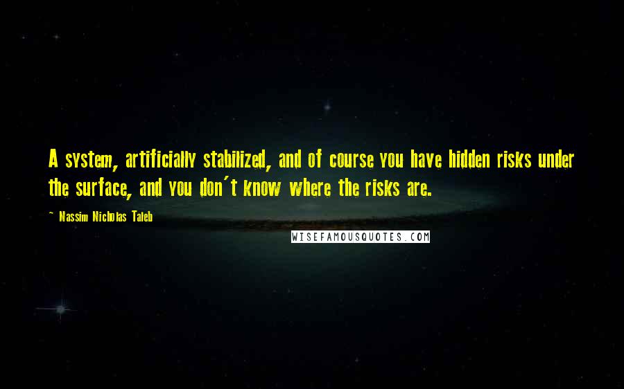 Nassim Nicholas Taleb Quotes: A system, artificially stabilized, and of course you have hidden risks under the surface, and you don't know where the risks are.