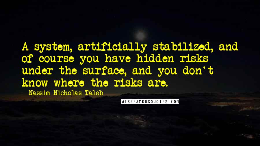 Nassim Nicholas Taleb Quotes: A system, artificially stabilized, and of course you have hidden risks under the surface, and you don't know where the risks are.