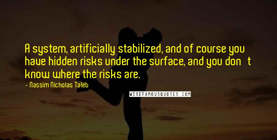 Nassim Nicholas Taleb Quotes: A system, artificially stabilized, and of course you have hidden risks under the surface, and you don't know where the risks are.